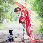 自分の思い入れのある振袖で素敵な写真を残せて良かったです