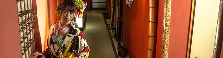 引き振袖にリメイクした成人振袖