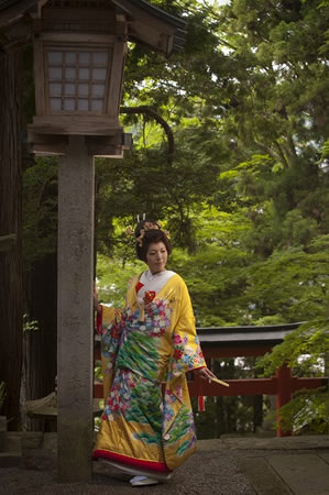 日枝神社で黄色い色打掛の花嫁