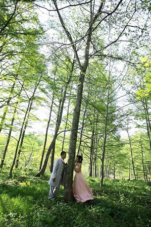 高山市の森の中で撮るウェディングフォト