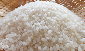 ライスシャワーのお米