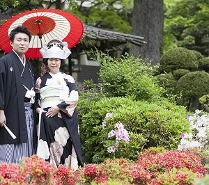 レンタルの黒引き振袖を着た花嫁