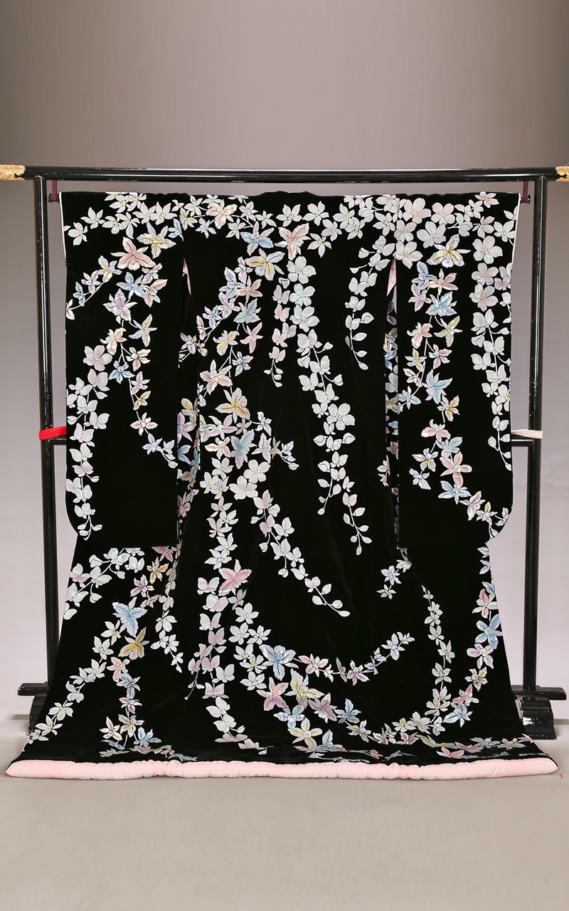 黒地のベルベットに箔押し胡蝶蘭の色打掛レンタル