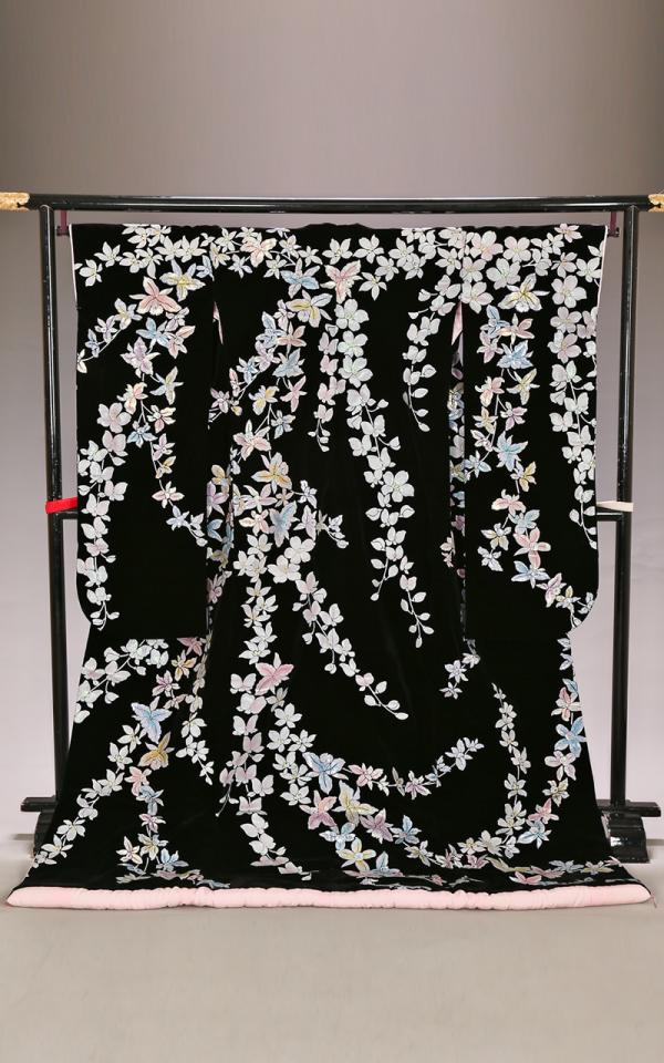 黒地のベルベットに箔押し胡蝶蘭の色打掛レンタル