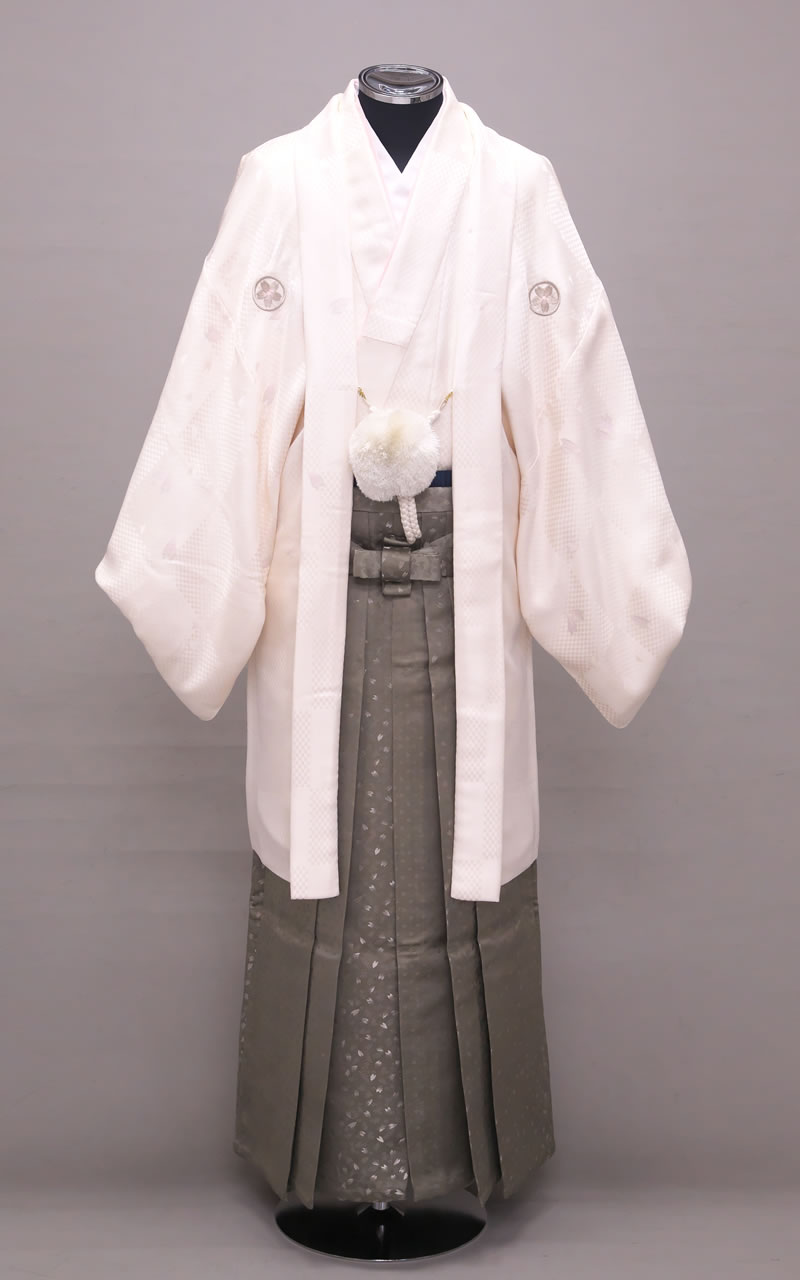 桜舞う白紋付