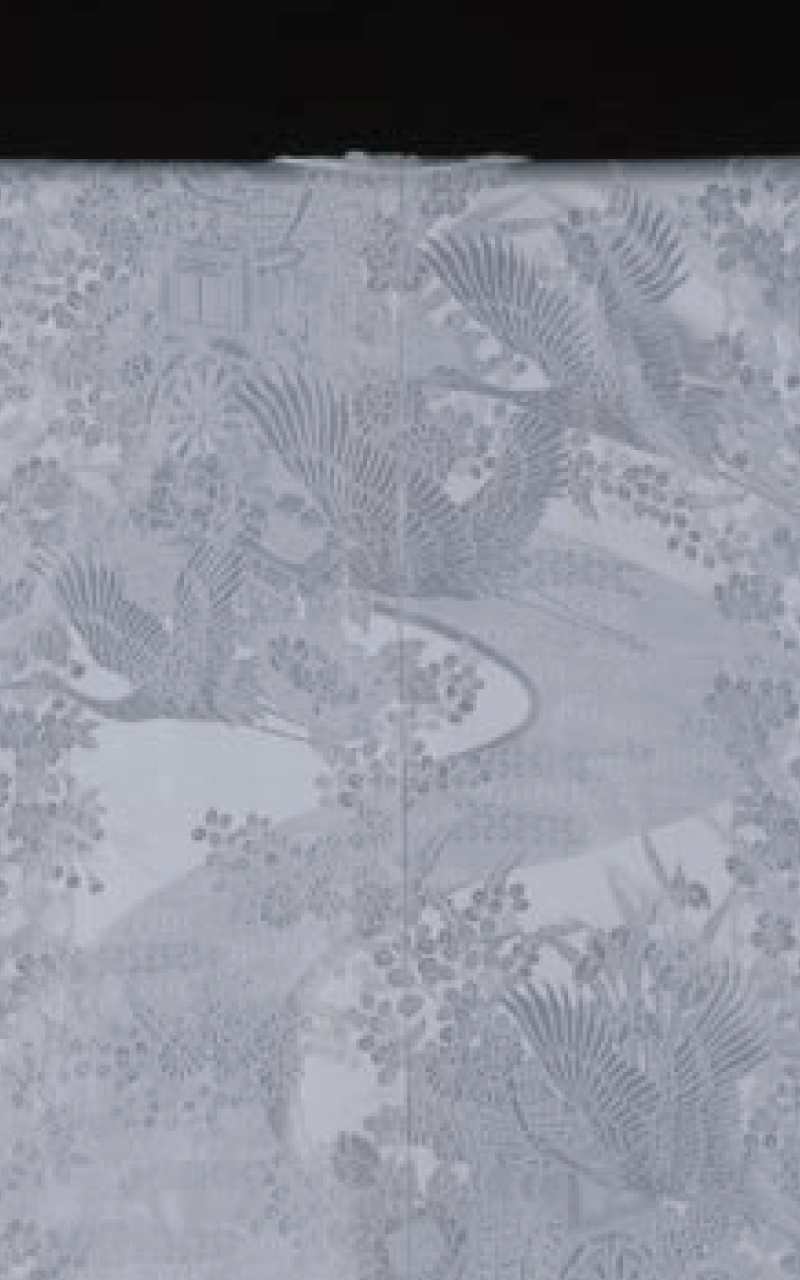 販売白無垢 献上桜王朝の奏