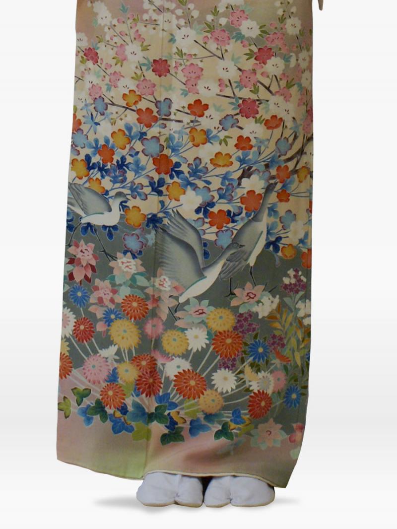 白色の満開の桜に菊鳥の色留袖